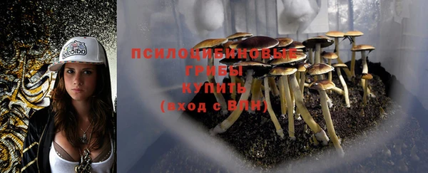 ECSTASY Новозыбков