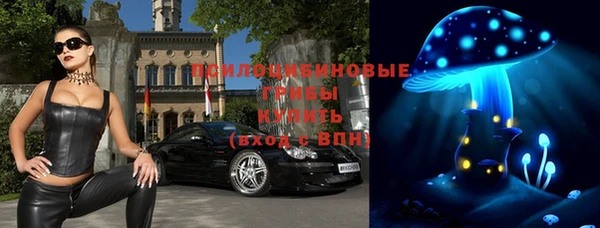 дживик Новодвинск
