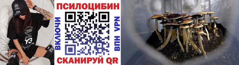 Галлюциногенные грибы Psilocybine cubensis  блэк спрут рабочий сайт  Полтавская 